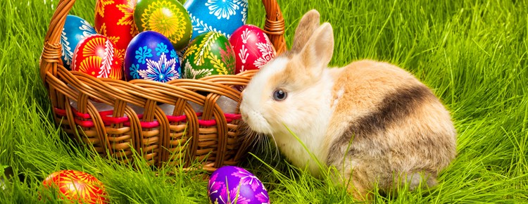 pasqua-offerte-agriturismo-marche